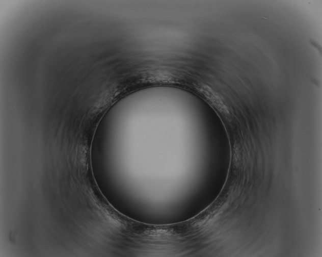 X0000092300449200710041450