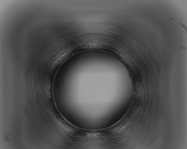 X0000092300450200710041450