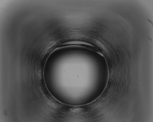 X0000092300452200710041450