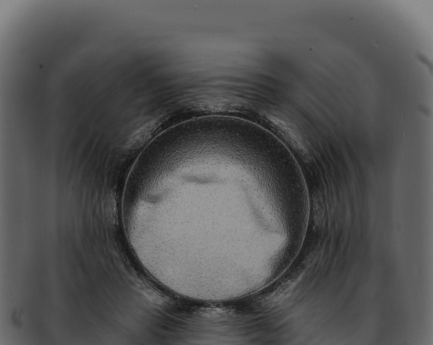 X0000092300453200710041450