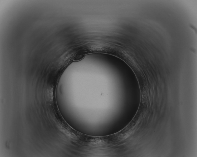 X0000092300454200710041450