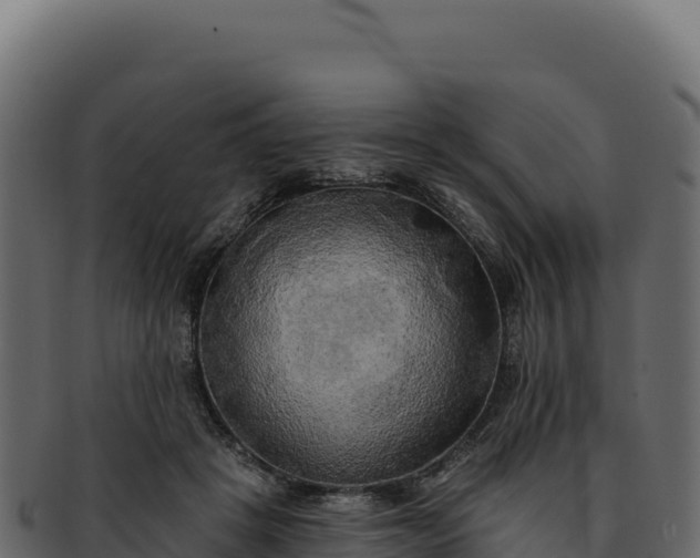 X0000092300457200710041450