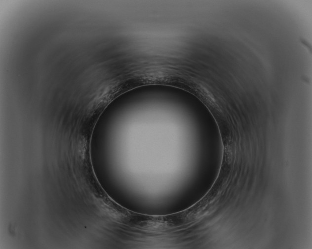 X0000092300458200710041450