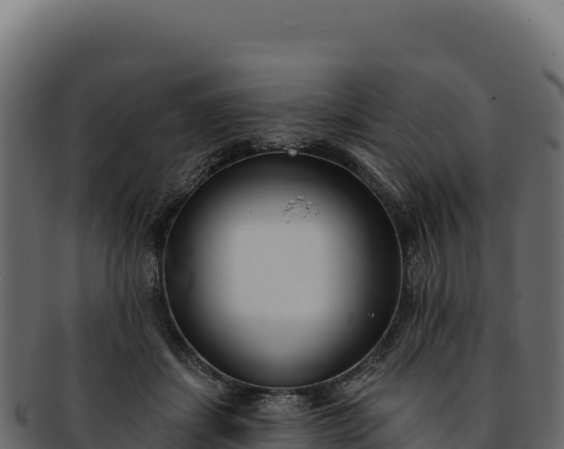 X0000092300459200710041450