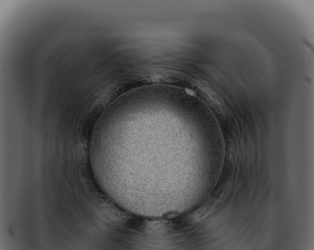 X0000092300461200710041450