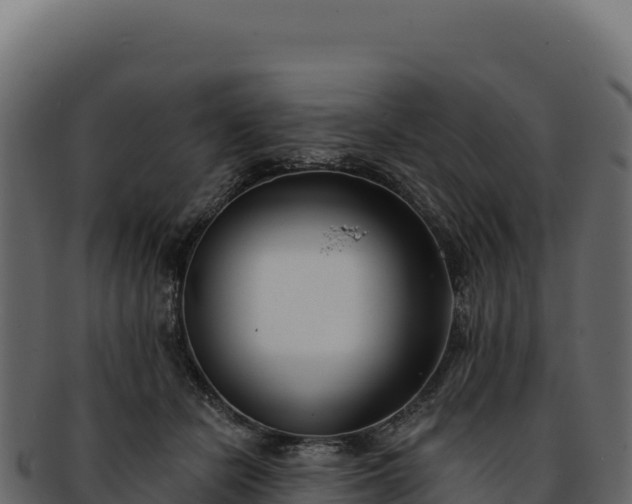 X0000092300462200710041450