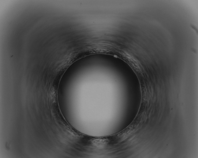 X0000092300465200710041450