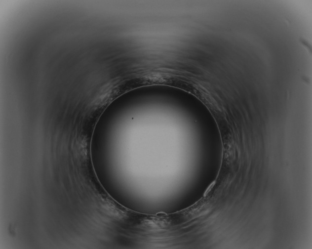 X0000092300466200710041450