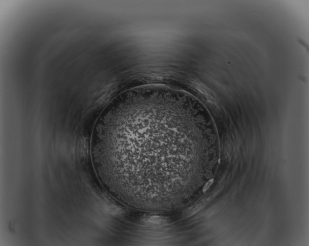 X0000092300467200710041450