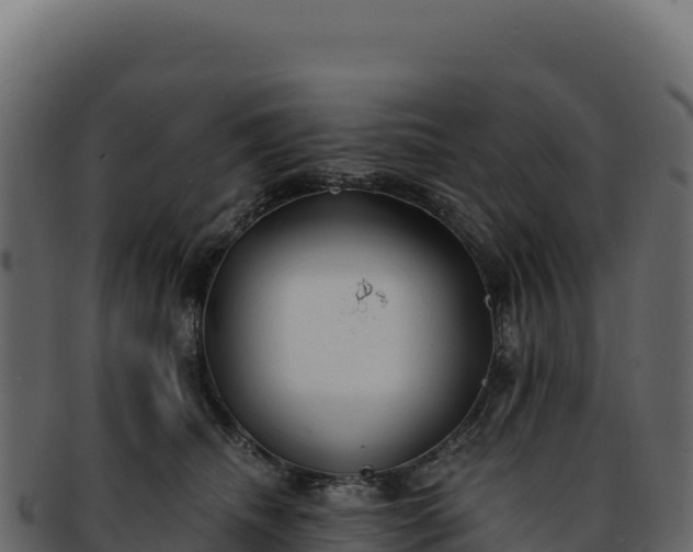 X0000092300468200710041450