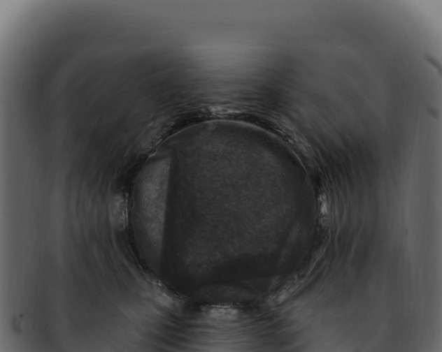 X0000092300471200710041450