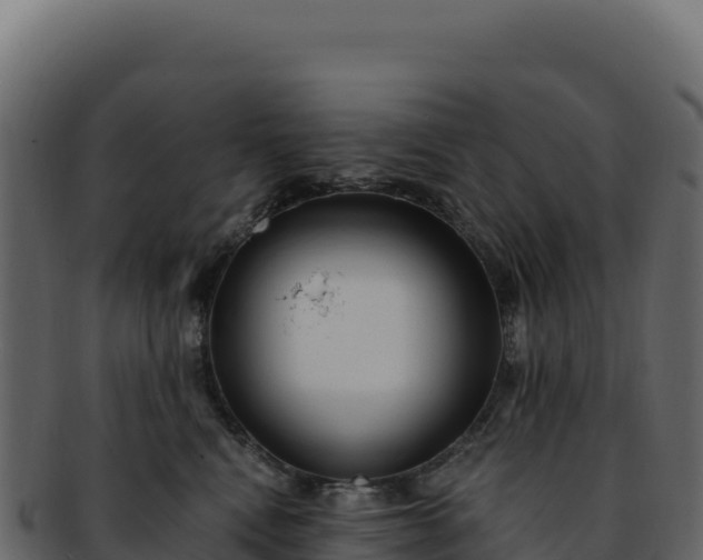 X0000092300472200710041450