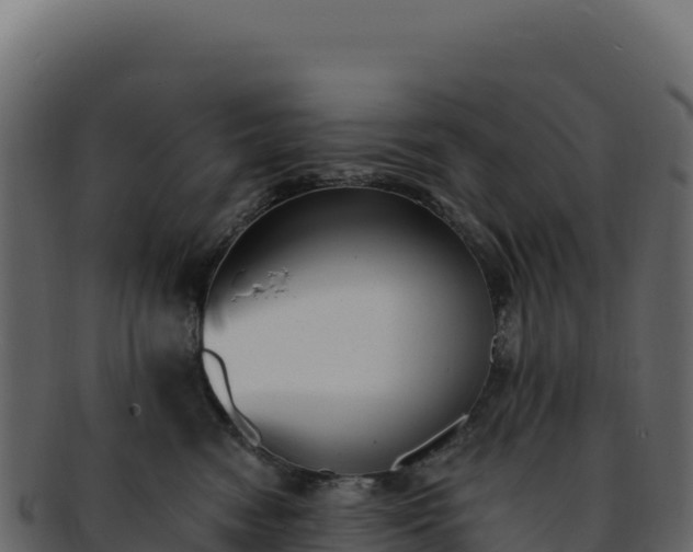 X0000092300474200710041451