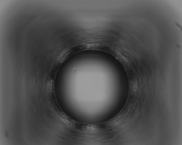 X0000092300475200710041451