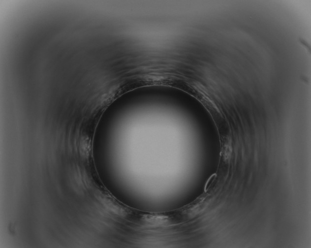 X0000092300476200710041451