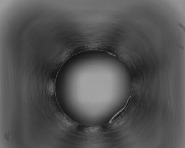 X0000092300479200710041451