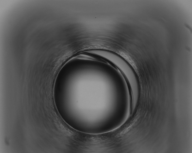 X0000092300481200710041450