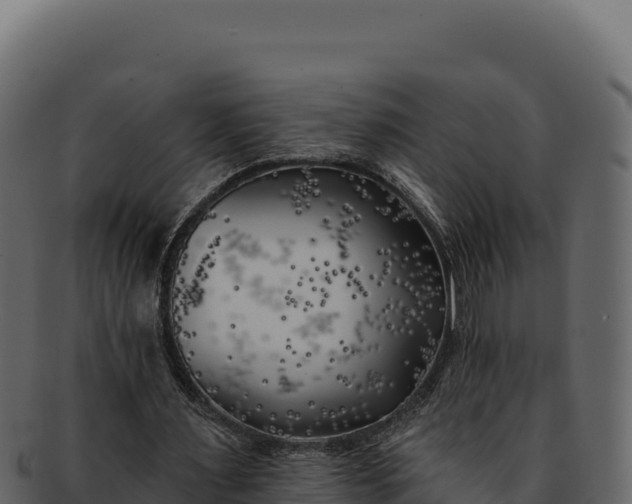 X0000092300483200710041450