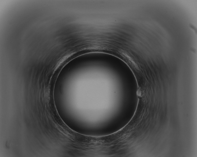 X0000092300484200710041450