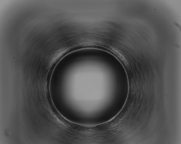 X0000092300485200710041450