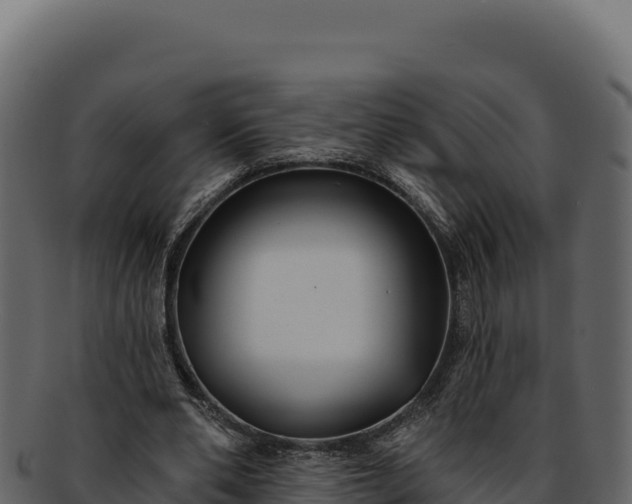 X0000092300486200710041450