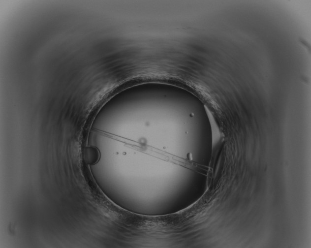 X0000092300487200710041450