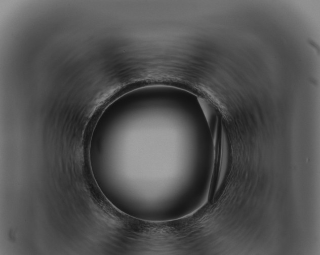 X0000092300488200710041450