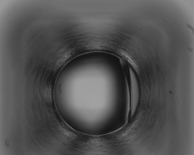 X0000092300489200710041450