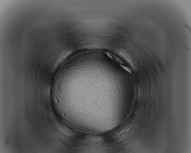 X0000092300491200710041450