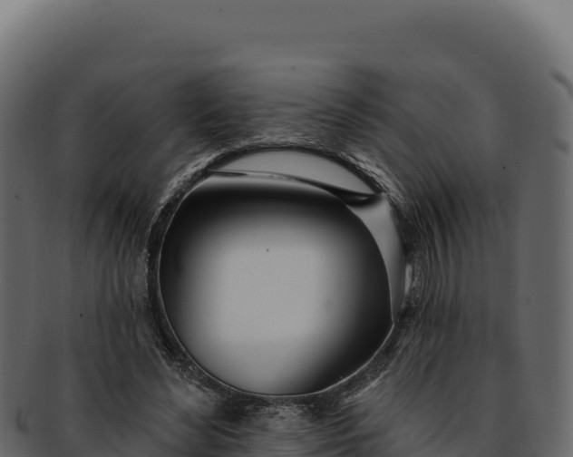 X0000092300492200710041450