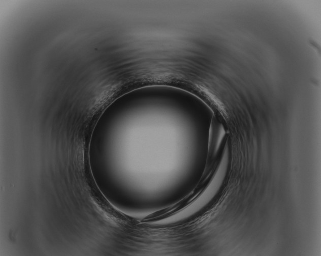 X0000092300493200710041450