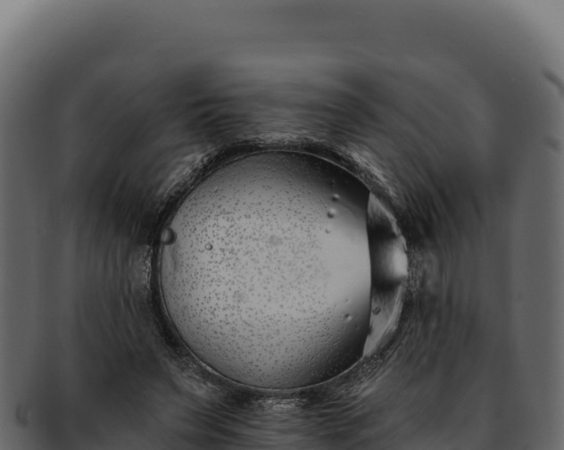 X0000092300495200710041450