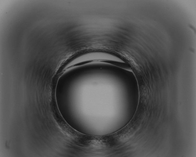 X0000092300496200710041450