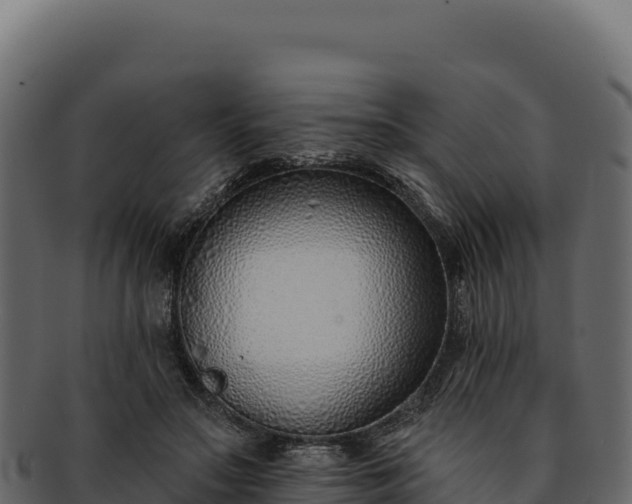 X0000092300499200710041450