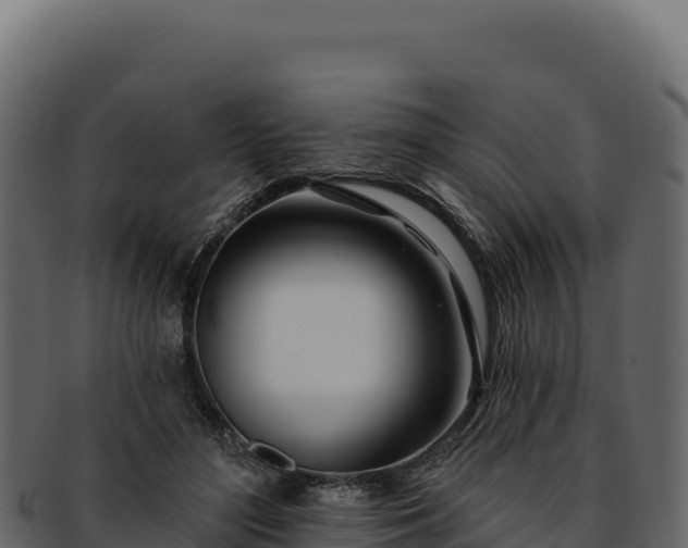 X0000092300500200710041450