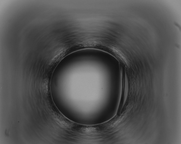 X0000092300501200710041450