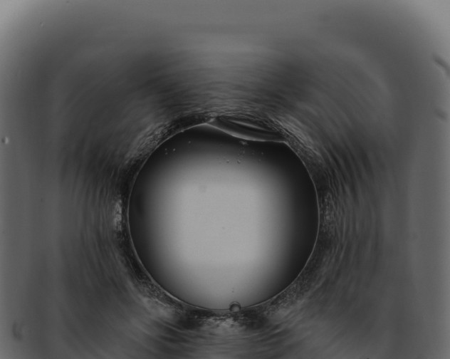 X0000092300502200710041450