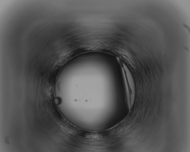 X0000092300503200710041450