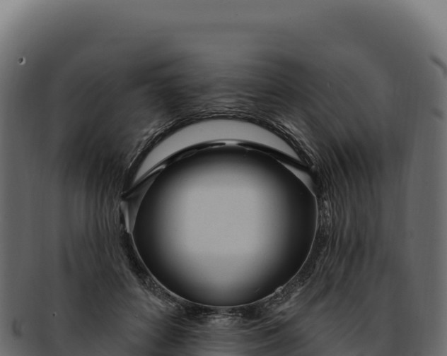 X0000092300504200710041450