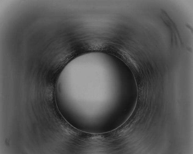 X0000092300505200710041450