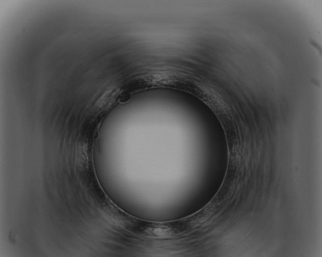 X0000092300506200710041450