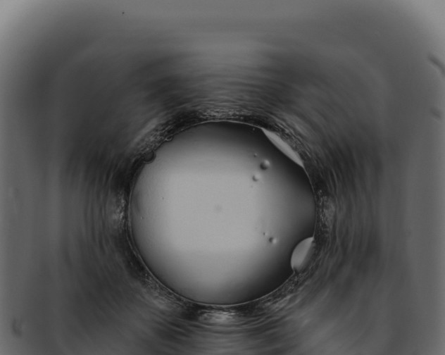 X0000092300507200710041450