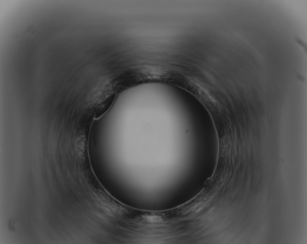 X0000092300509200710041450