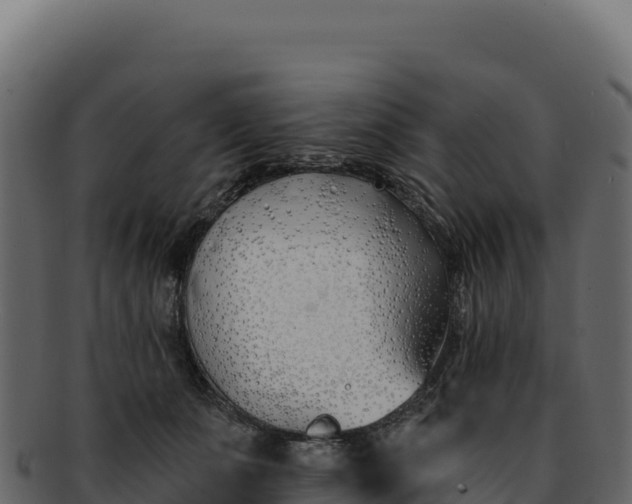 X0000092300511200710041450