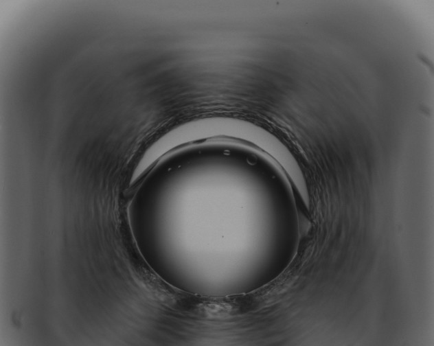 X0000092300512200710041450