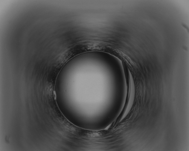 X0000092300513200710041450