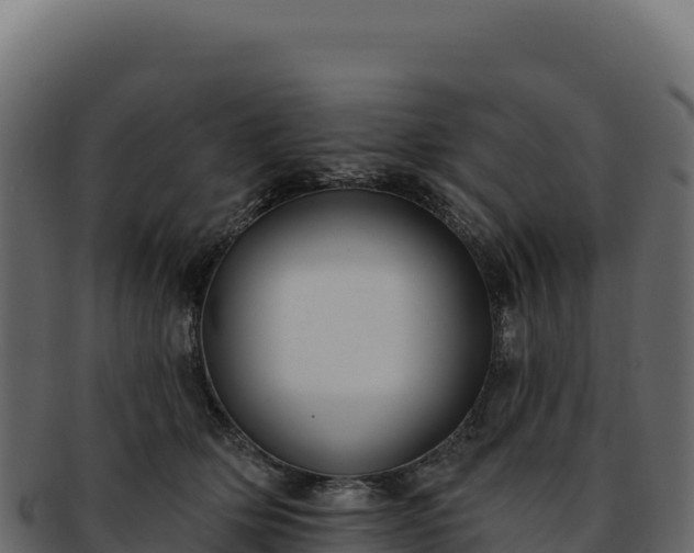 X0000092300514200710041450