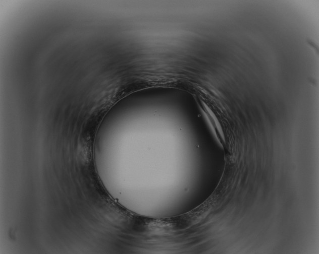 X0000092300515200710041450