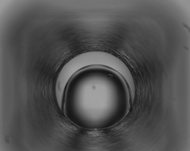 X0000092300516200710041450