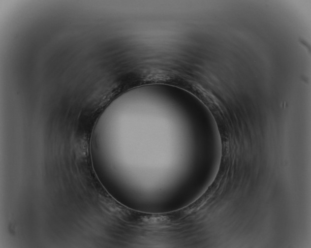 X0000092300517200710041450